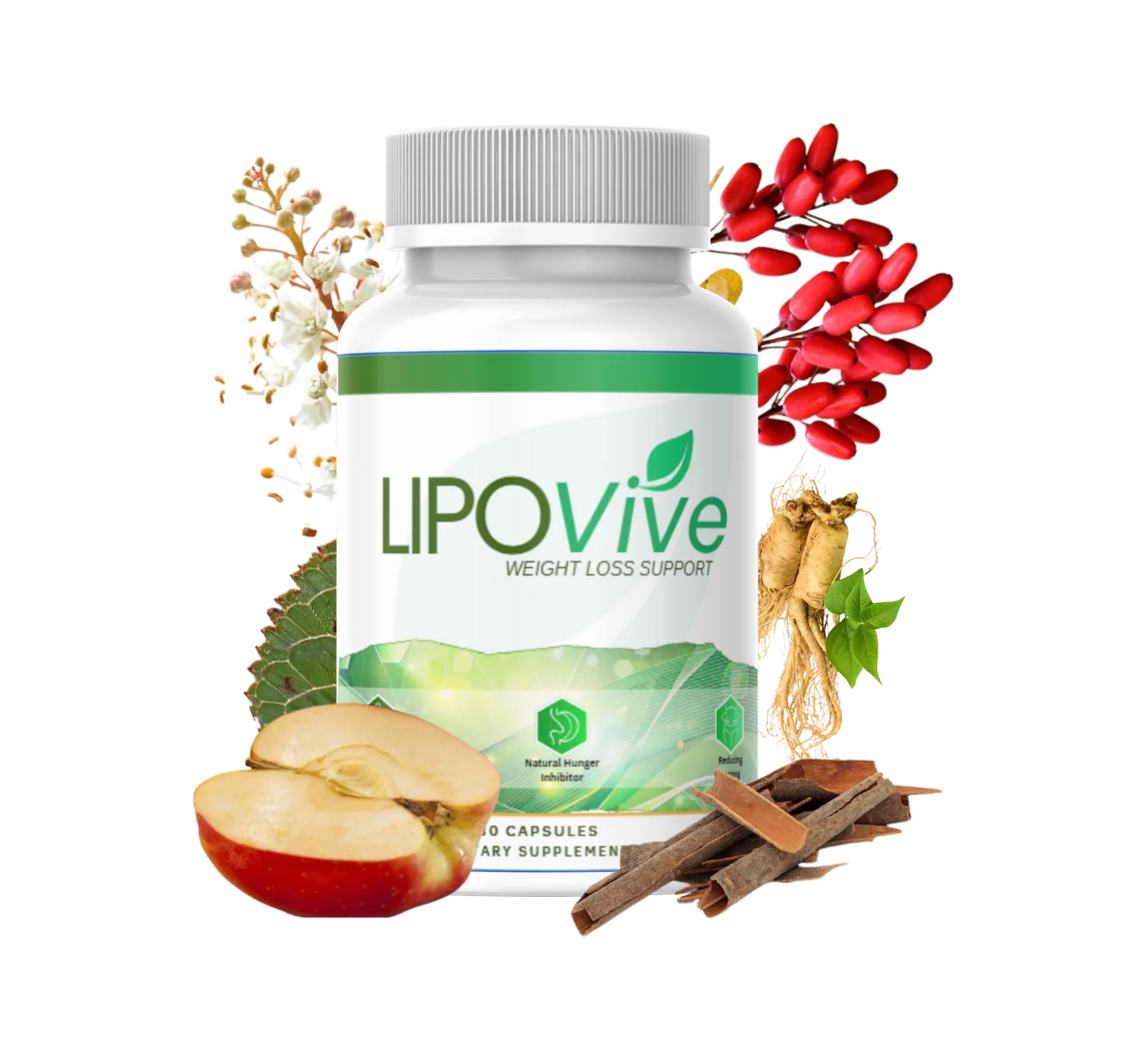 LipoVive bottles and bonus package