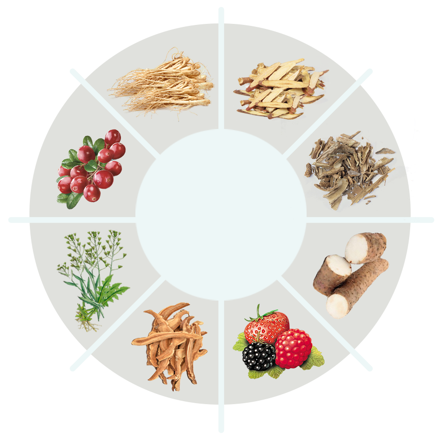 JellyLean ingredients circle