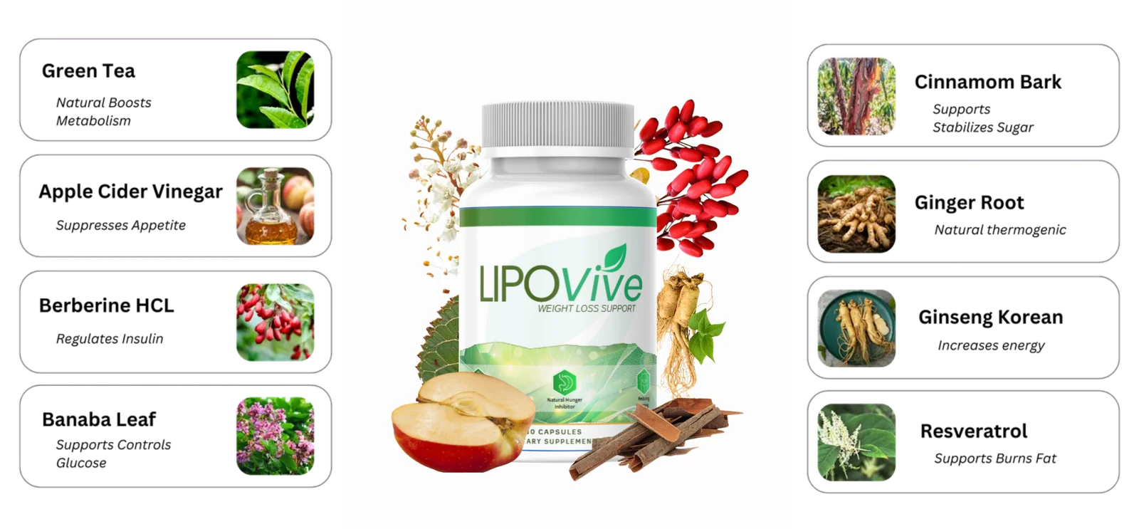 LipoVive ingredients label